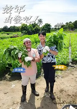 卡点变速视频剪辑波形分析
